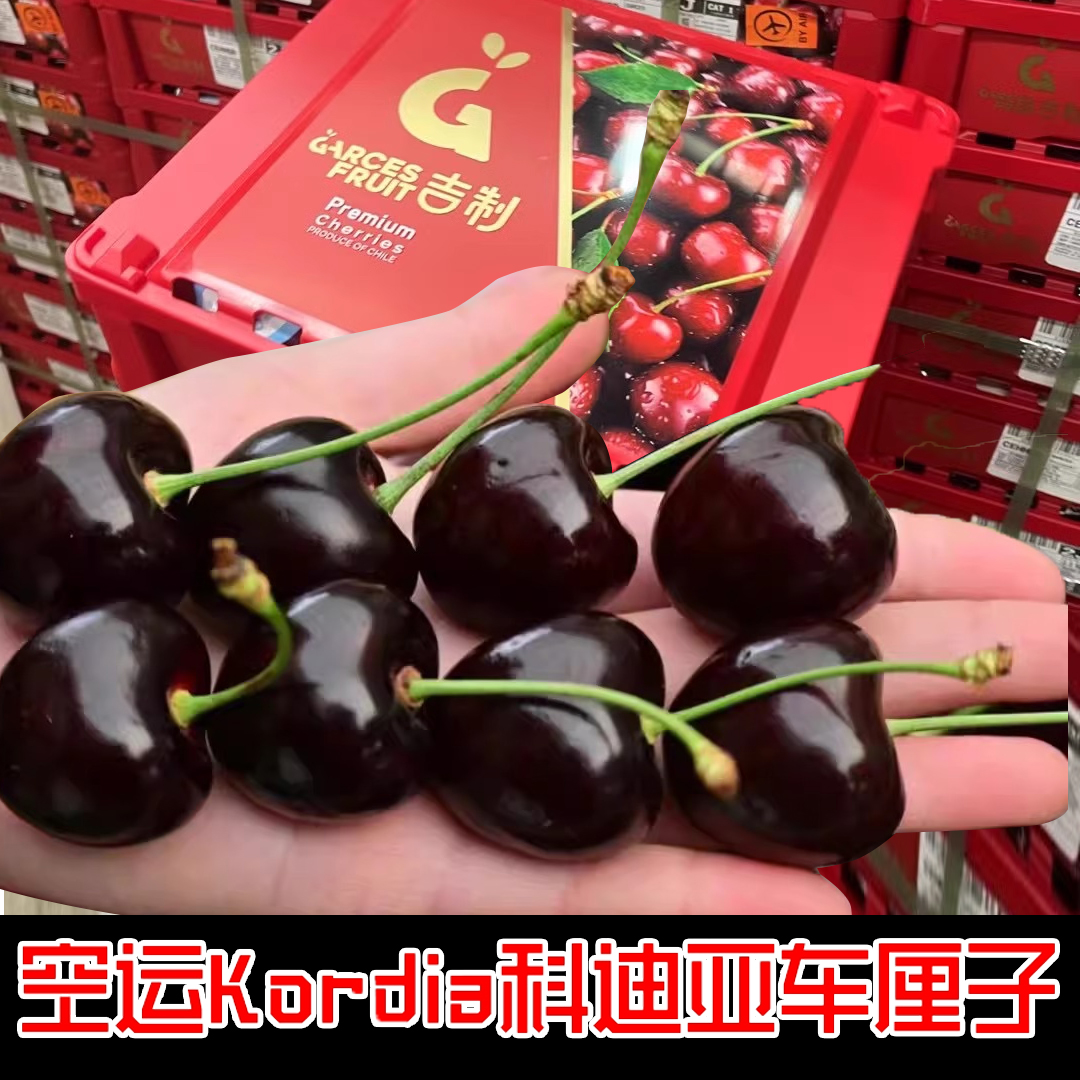 【科迪亚】智利空运车厘子新鲜水果当2J进口大樱桃KG 内附果径卡