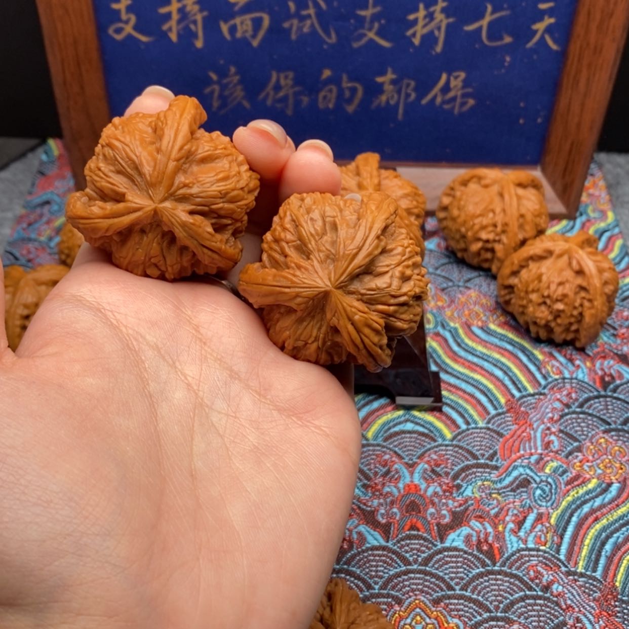 【闪购商品】K****⁶白狮