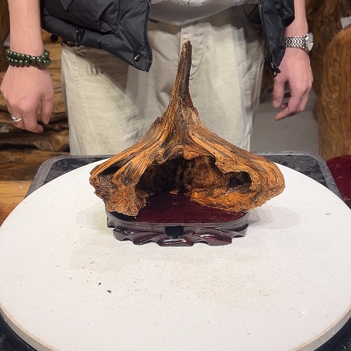 松木（琥珀木）远***子