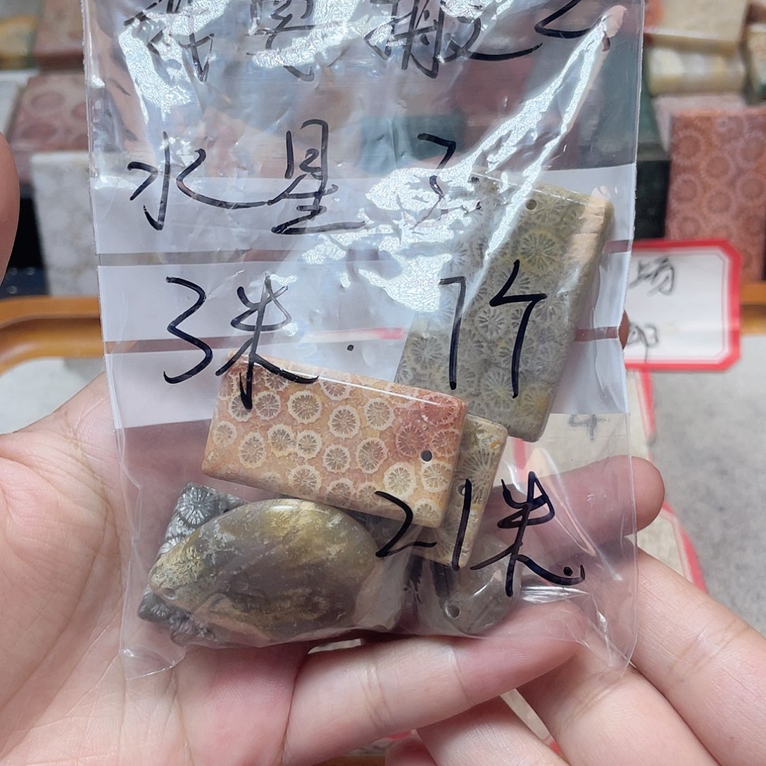 秋***叶硅化珊瑚（珊瑚玉）合金颈饰