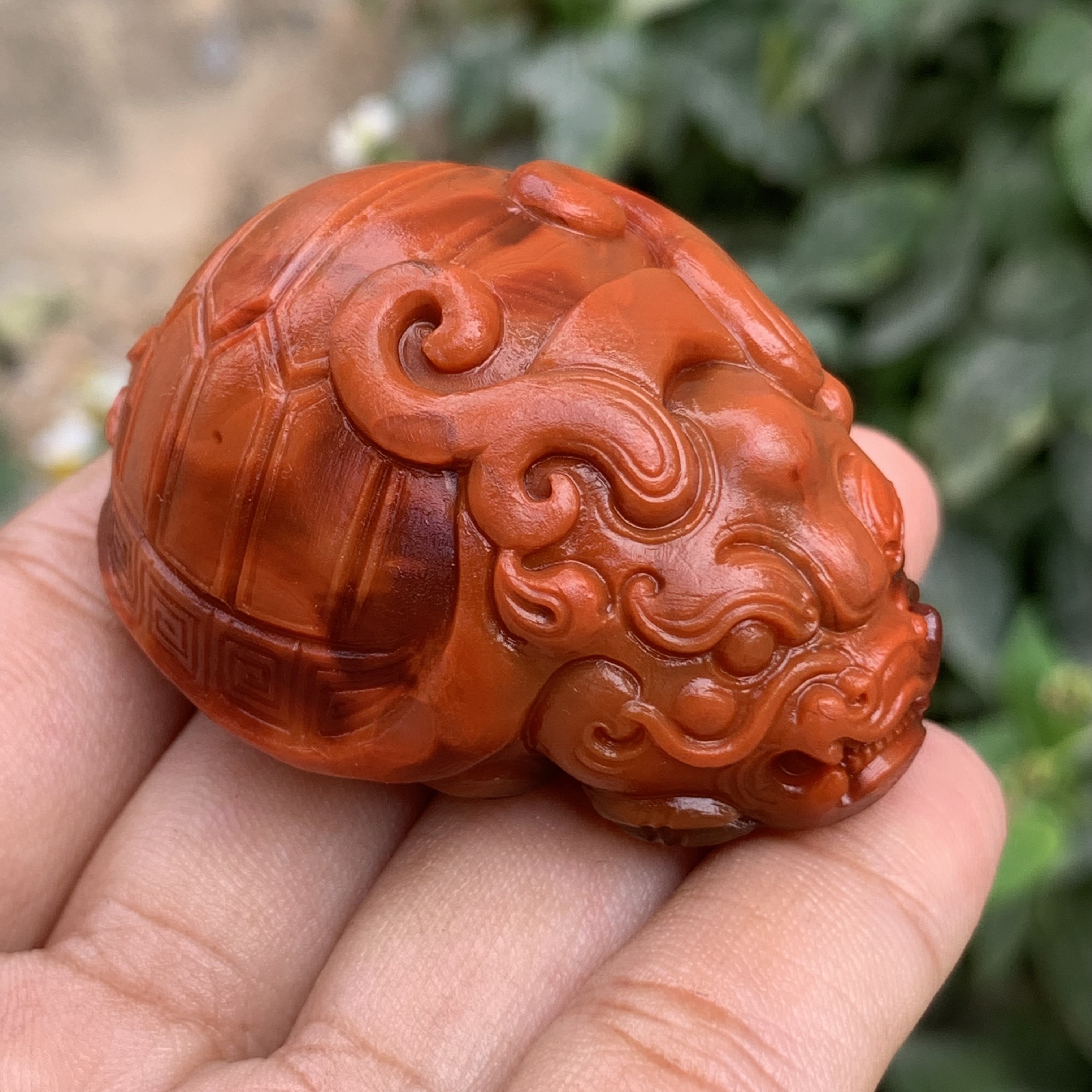 典藏级 南红瓦西牛血双色龙龟吊坠 色泽红润 尺寸51.3*39*26.7