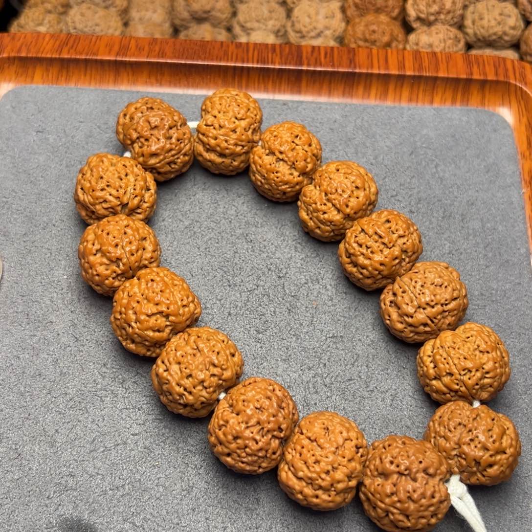 菩提3号尼泊尔大金刚22五星蜂王菠萝蜜