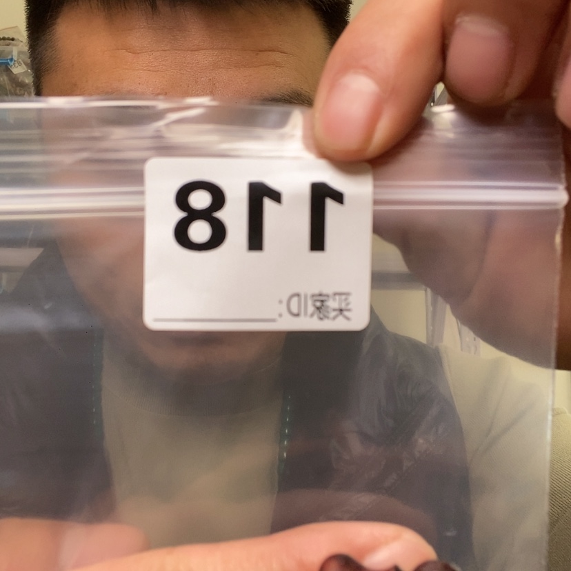 【闪购商品】核桃木/黑胡桃（胡桃木）118大