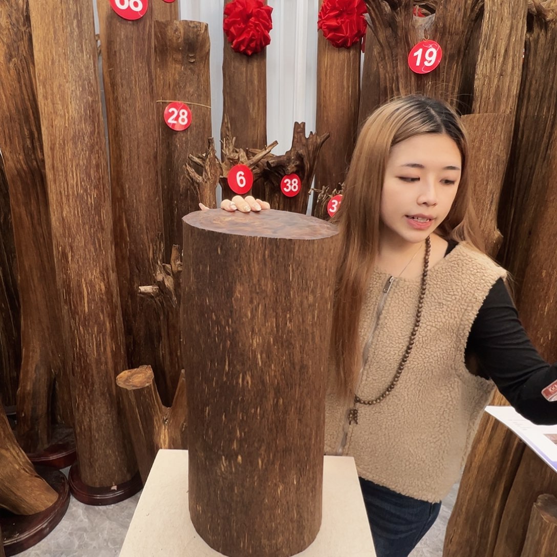 阳***店摆件沉香沉香原料