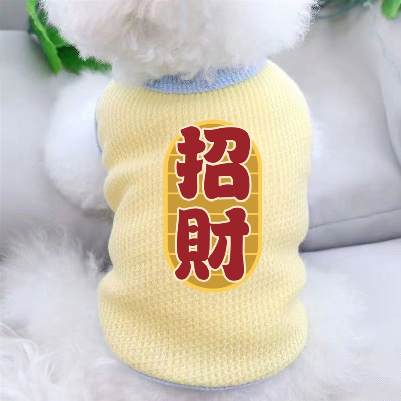 夏季猫咪衣服防掉毛薄款背心小狗狗夏天防晒服宠物金渐层布偶德文