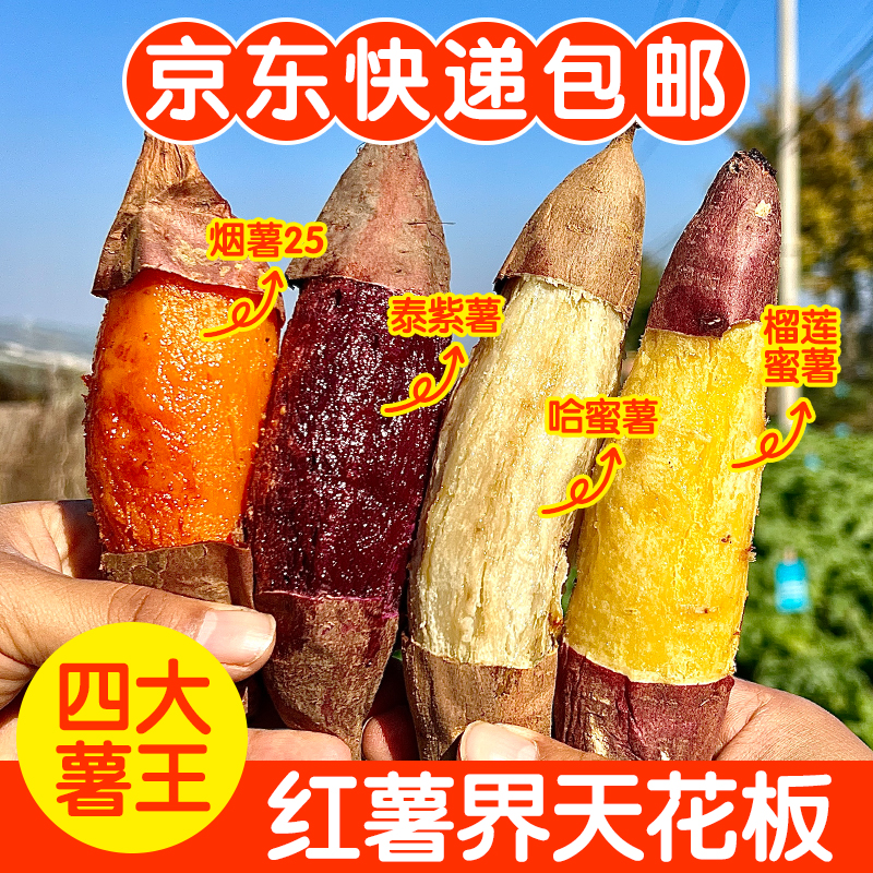 【京东包邮】四大薯王榴莲蜜薯哈密冰糖薯烟薯泰紫薯粗粮组合
