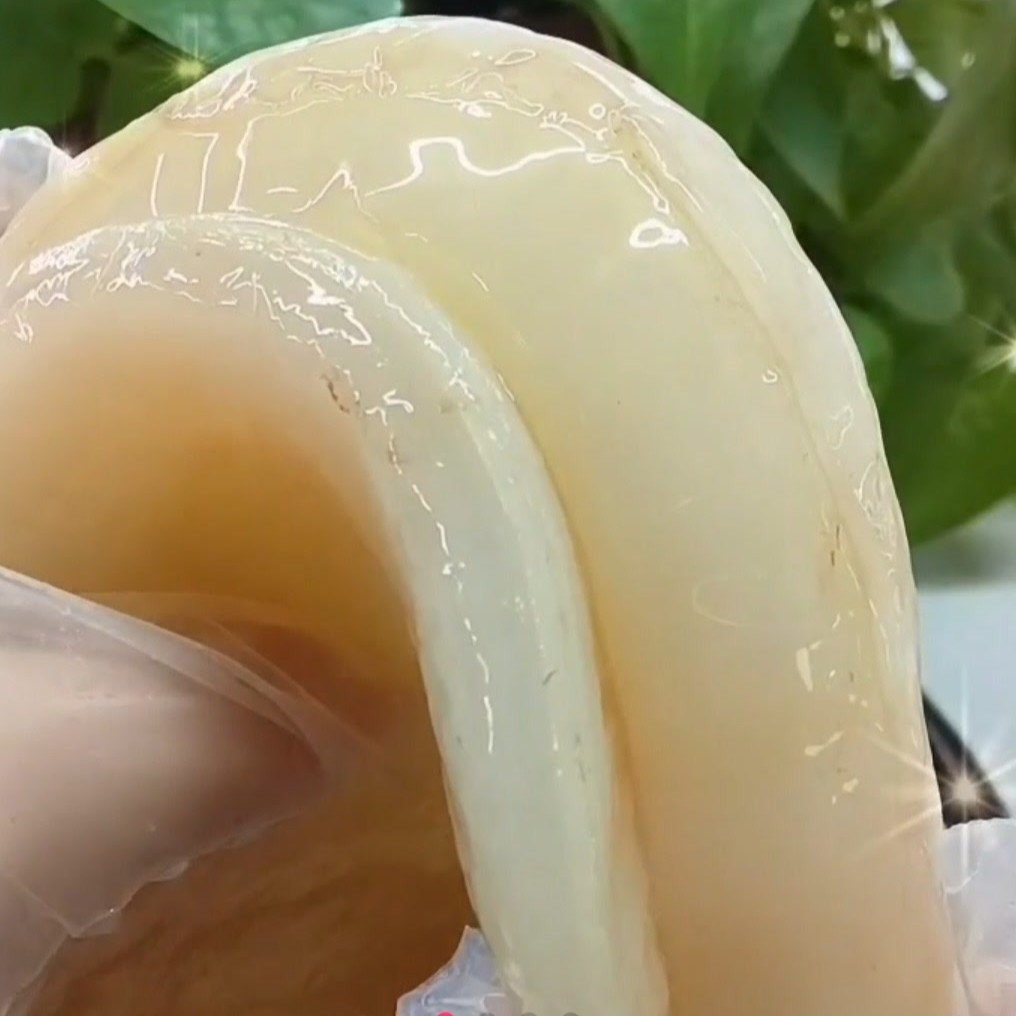 珍品款厚菌1斤膜海宝红茶菌