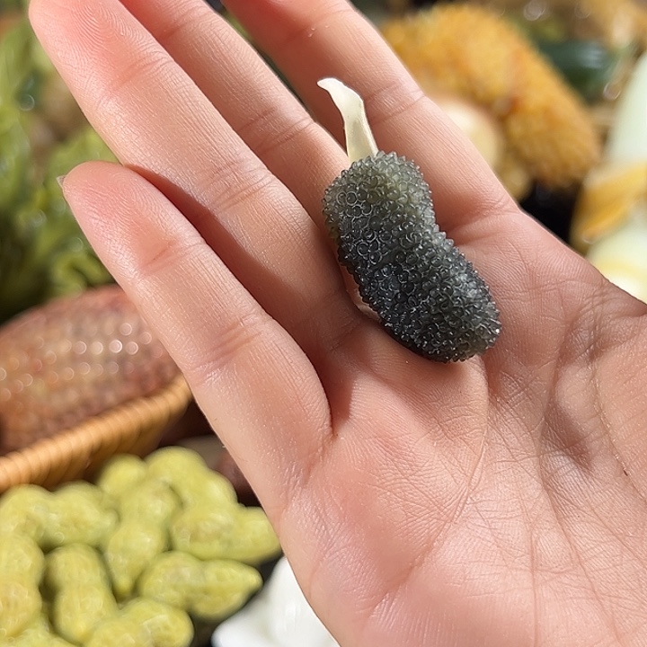 蛇纹石玉未镶嵌珠宝奇石