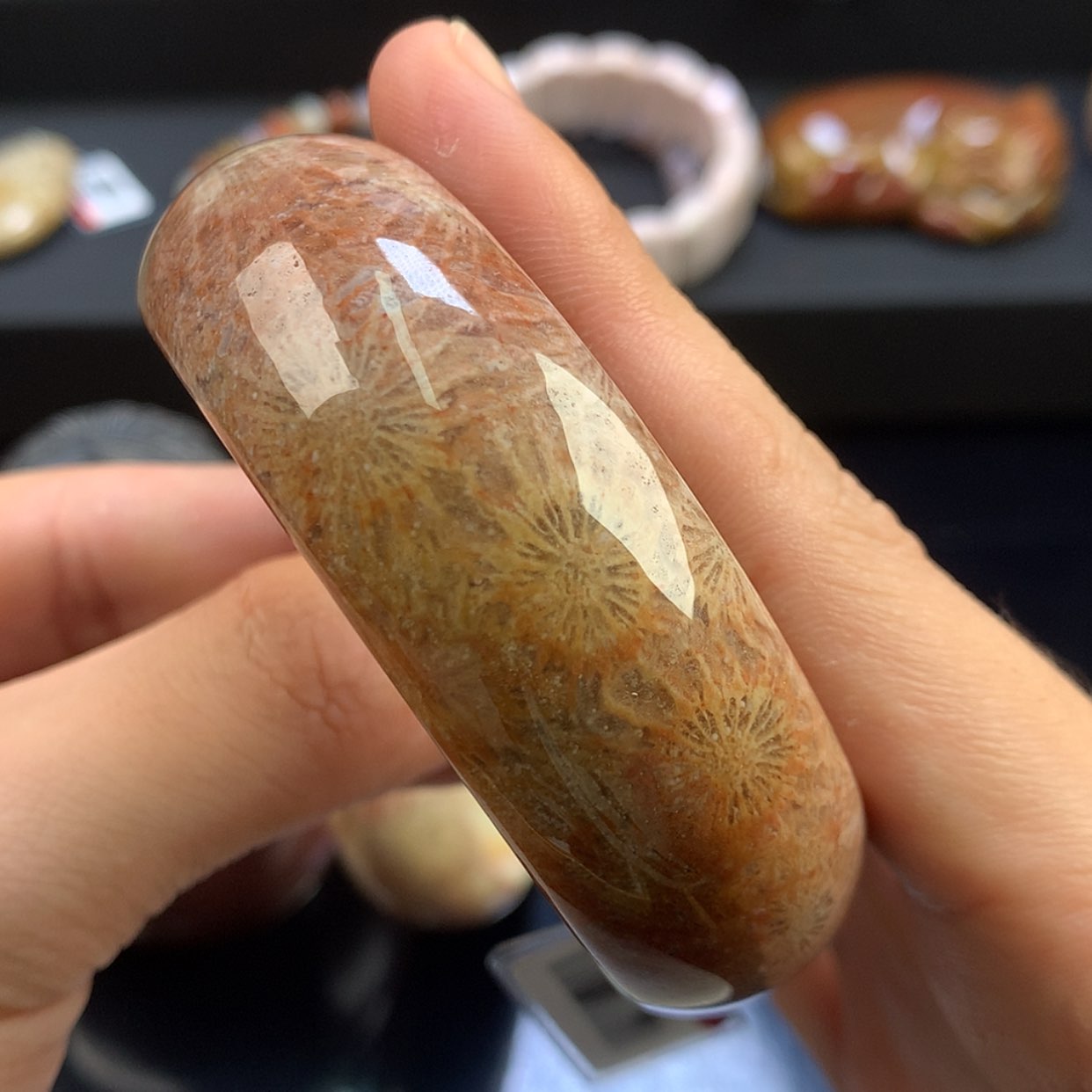 【闪购商品】硅化珊瑚（珊瑚玉）未镶嵌颈饰35号58.5圈