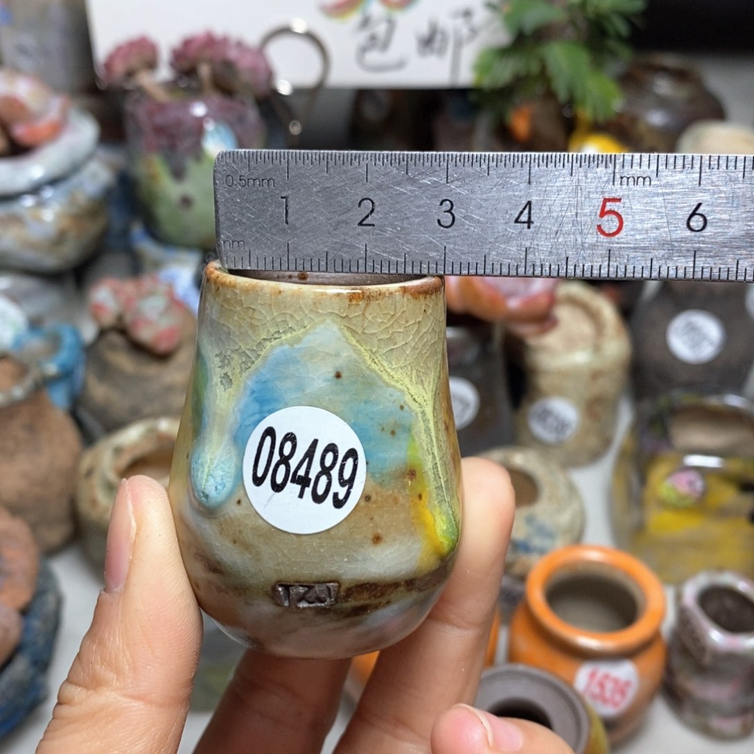 花盆拍5送一个小礼物