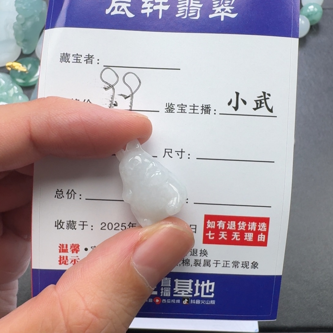翡翠未镶嵌颈饰     4
