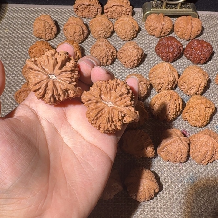 龗***翼非洲紫檀（红花梨）把件满天星