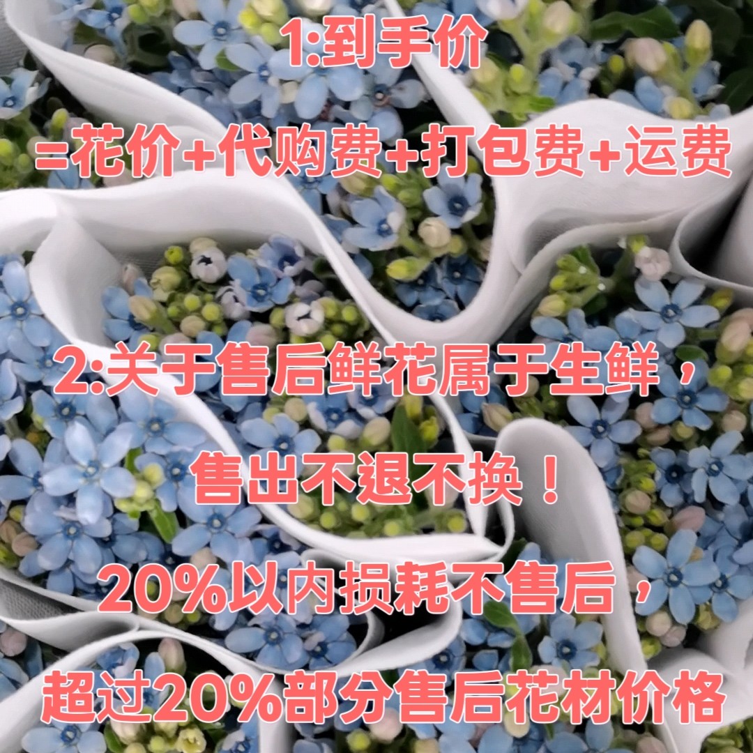 草花玫瑰定金链接，多退少补！