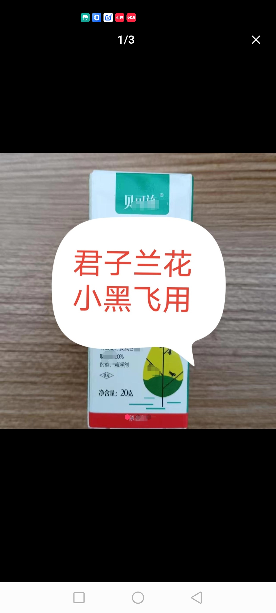 君子兰营养土小黑飞用