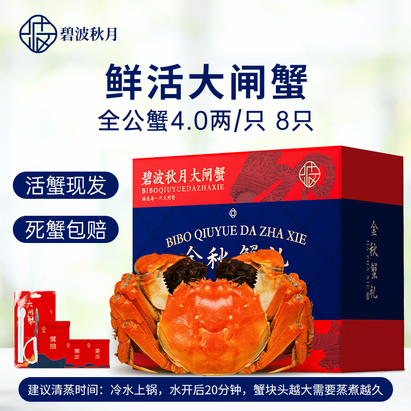 【活蟹】碧波秋月大闸蟹活蟹现货 全公蟹4.0两8只 礼盒包装