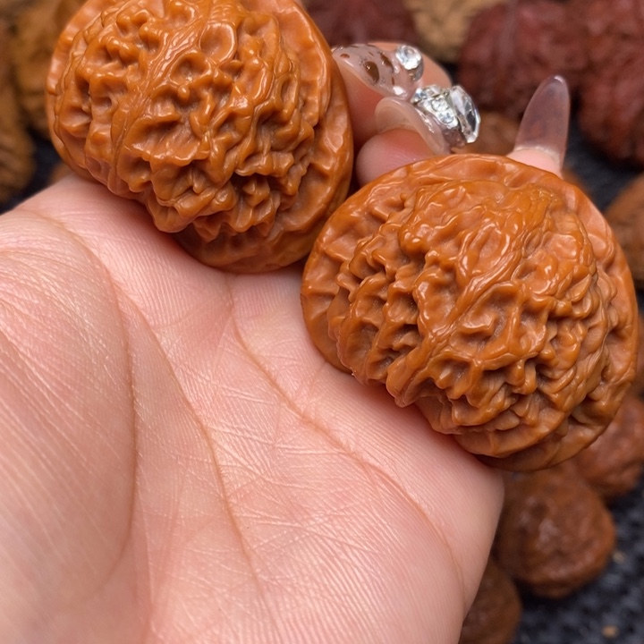 秦岭野生0000000042