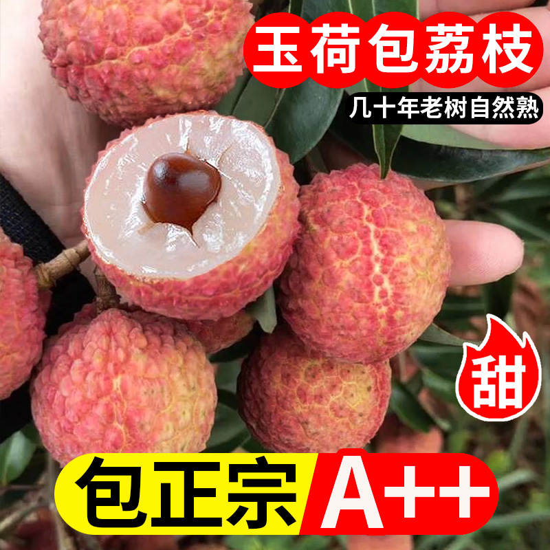 【顺丰冷链】双肩玉荷包荔枝当季新鲜水果现摘多汁非白糖罂桂味爆甜