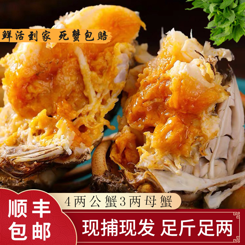 【活蟹】蟹坐标精选公蟹4.0两-3.7两母蟹3.0两-2.7两公母组合大蟹S