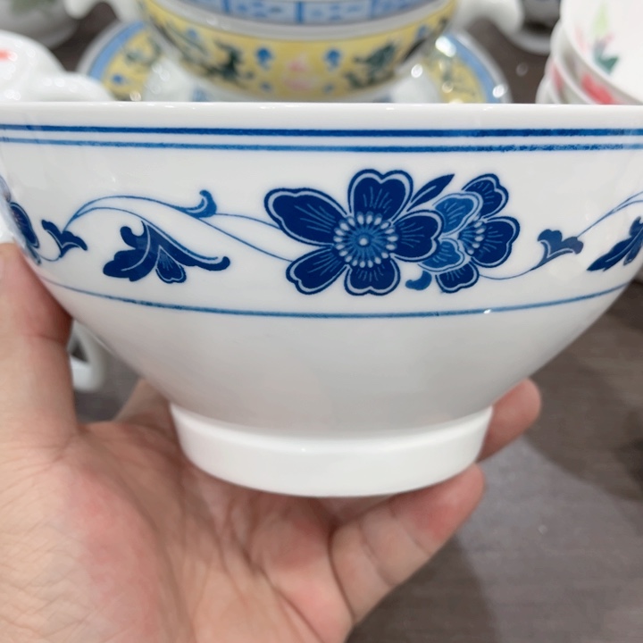 盘釉下五彩的瓷器在瓷器