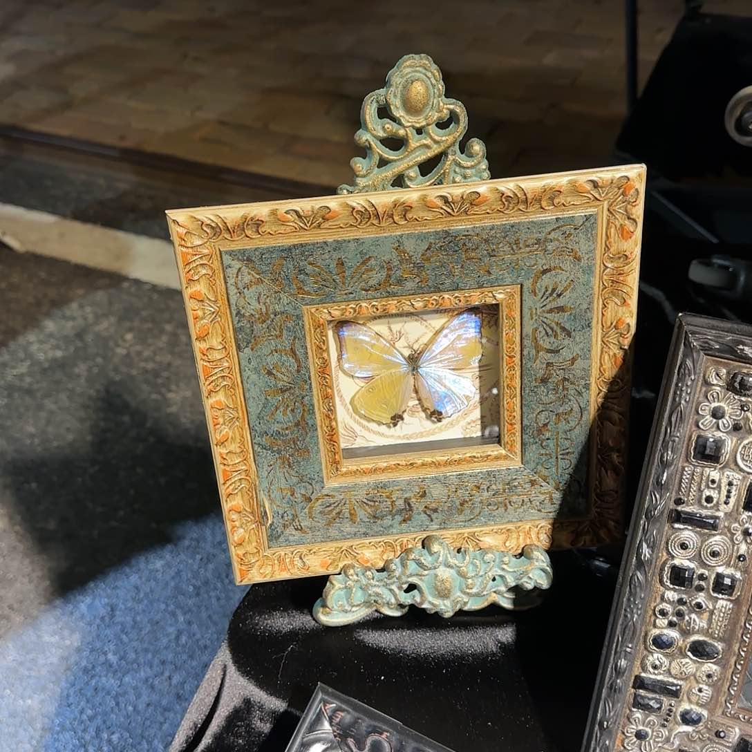 陶瓷的话说，你们的