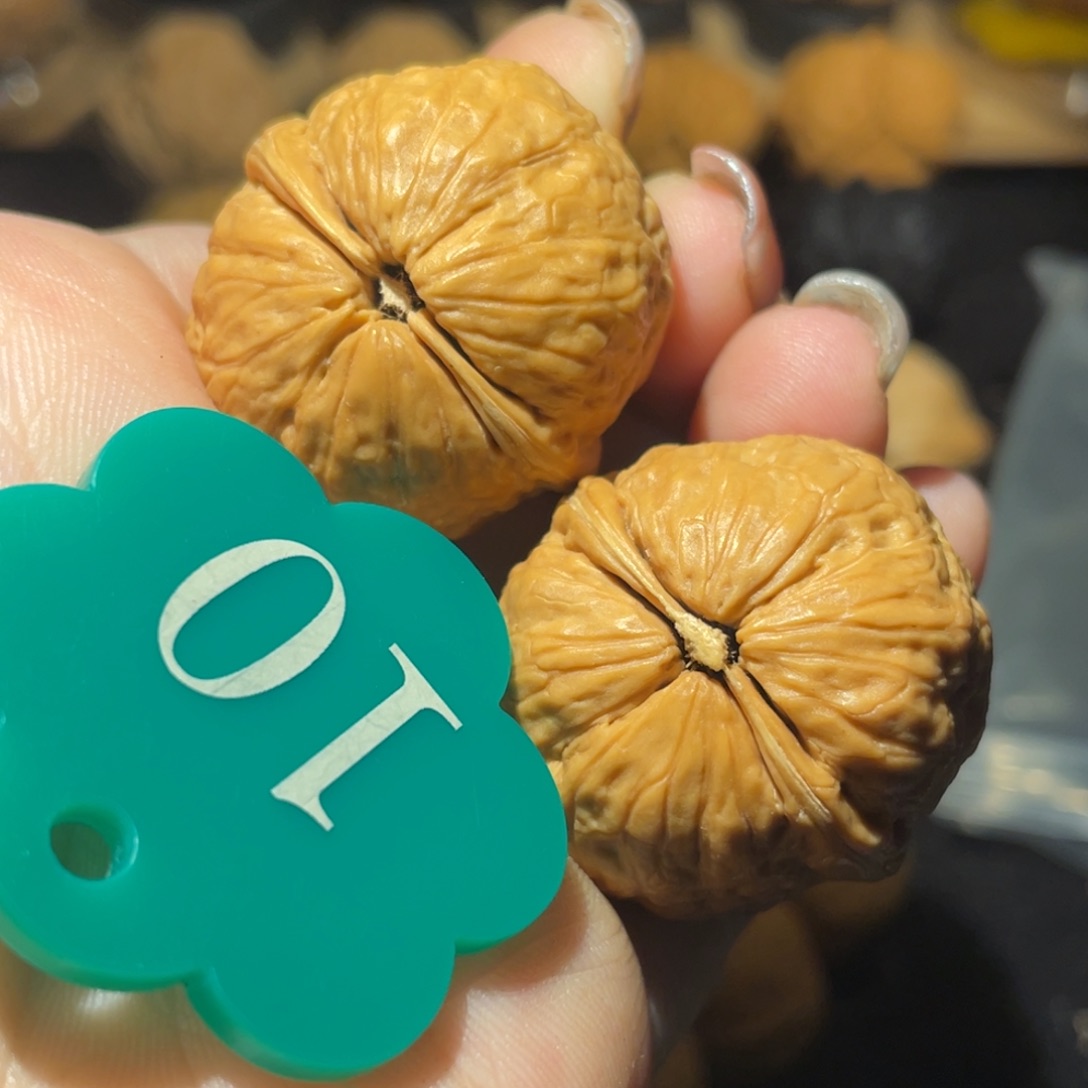 肉丸子32尺寸核桃