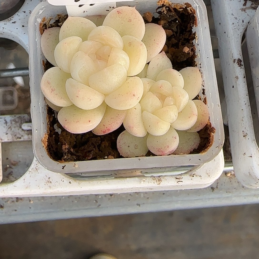 万***乙9开播福利现金财富