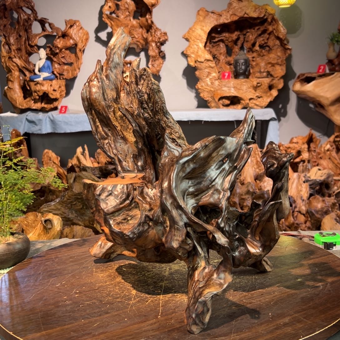 T***帅香杉木054@@@@@@@@@@