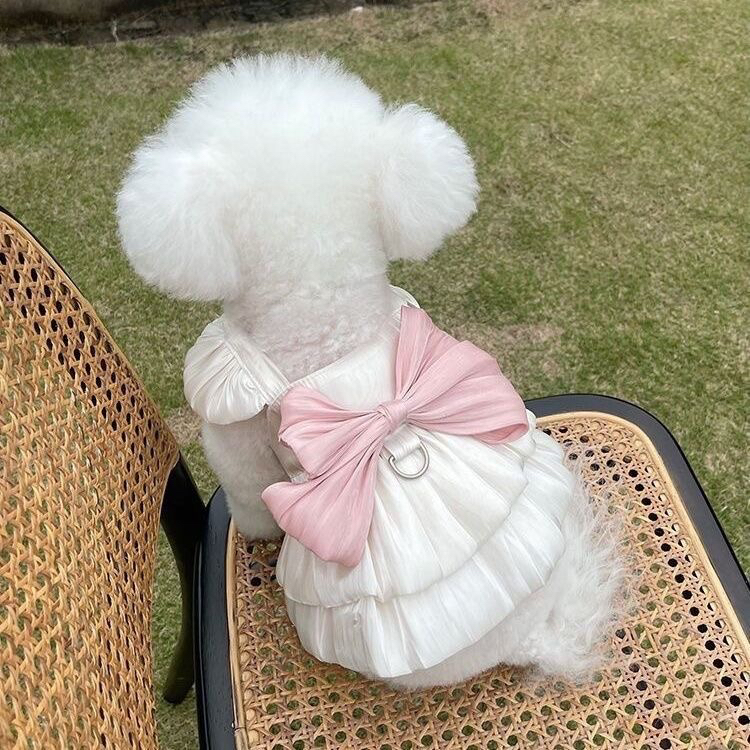 春夏新款宠物流光透气纱裙仙德瑞拉公主风狗狗猫咪服饰