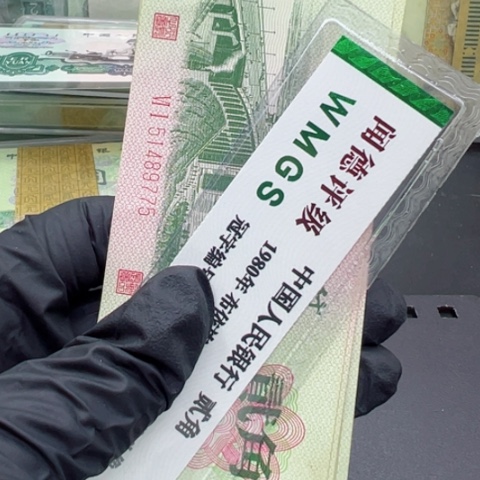 塑料第三套人民币大桥十张