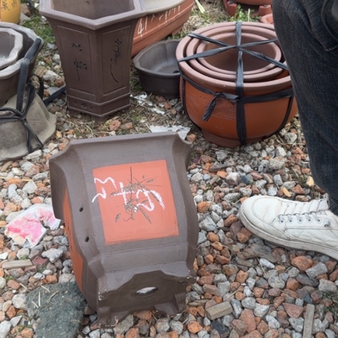 红陶紫砂花盆盆景盆栽