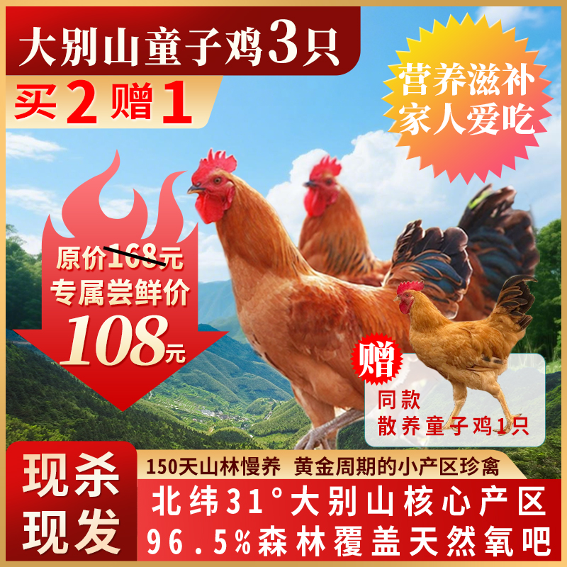 【买2送1】大别山童子鸡3只装专属福利高蛋白低脂