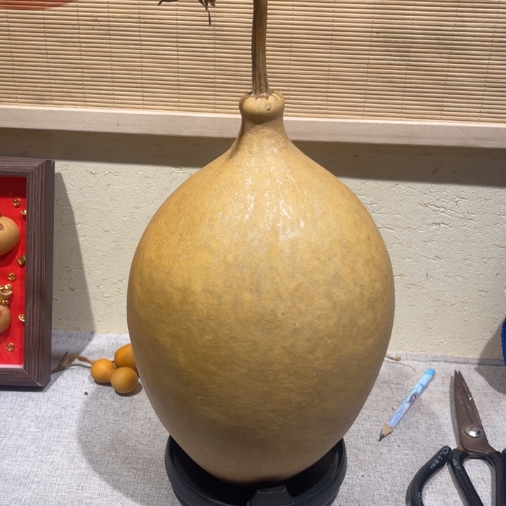 金***财仿木不包邮不保龙头