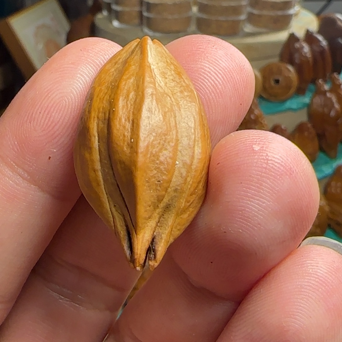 橄榄核手串/手链四花素核