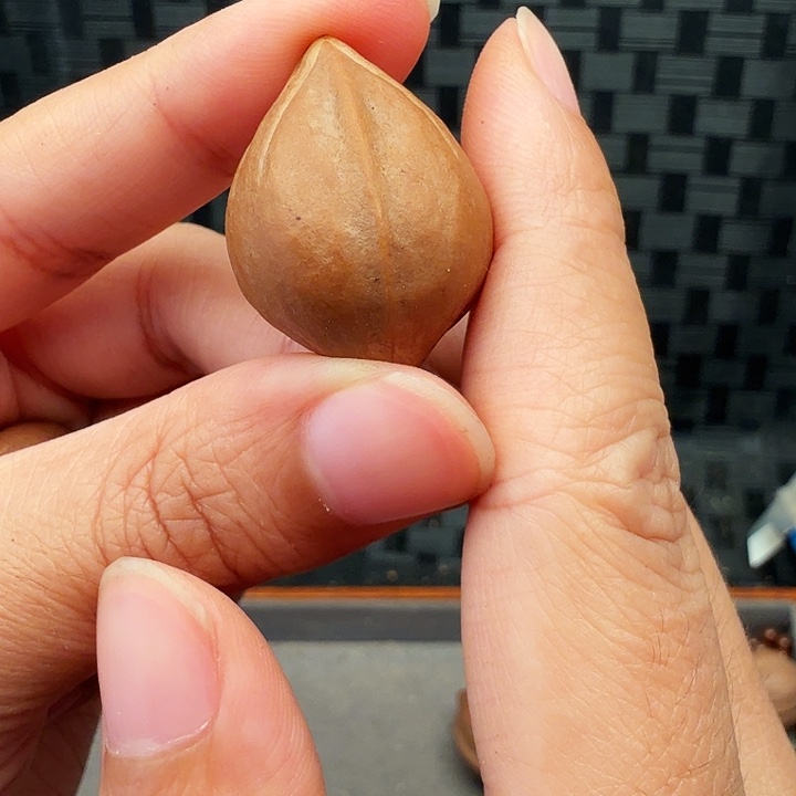 多***亿橄榄核手串/手链橄榄