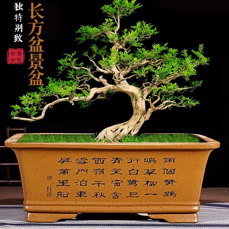 紫砂花盆海棠盆景盆简约多肉植物花卉盆栽陶瓷花盆长方形盆景