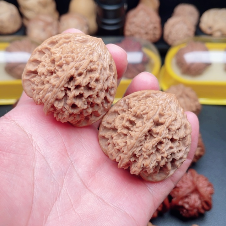 文玩核桃把件满天星44×42×42