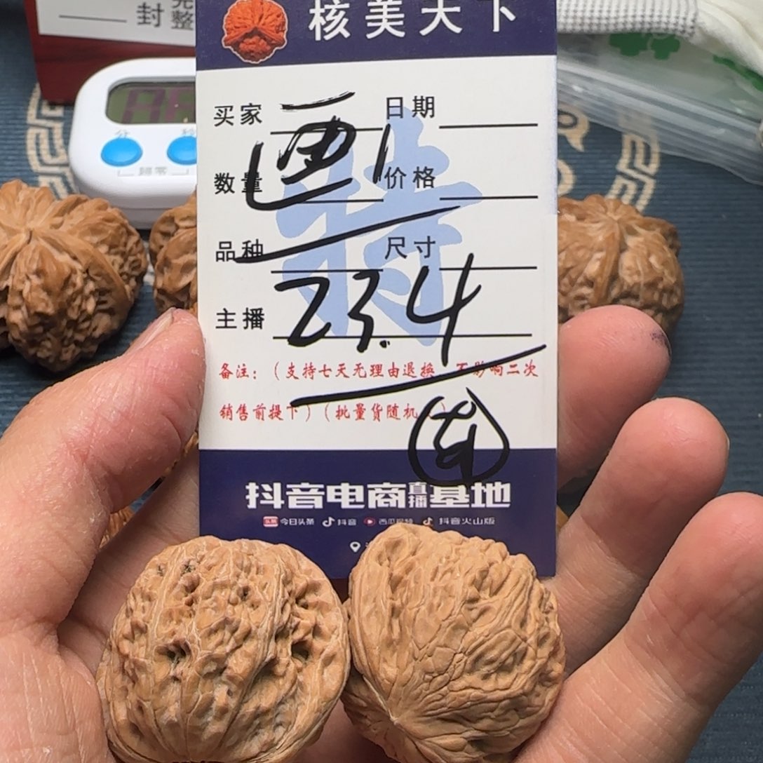 画***贝铁锤等各种各样的动物