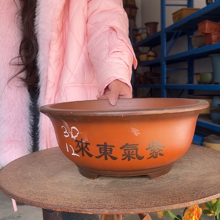 30小红花盆花盆花盆