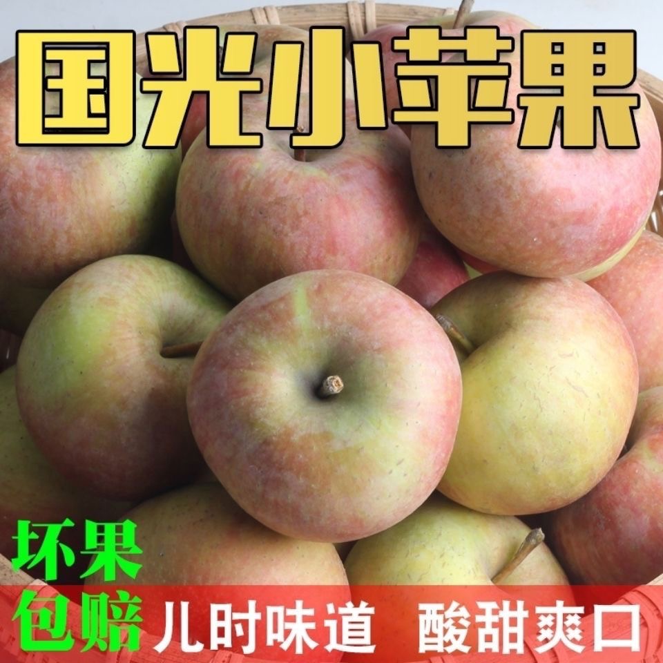 正宗老树国光笨苹果 当季水果不打蜡孕妇酸甜口果光丑苹果