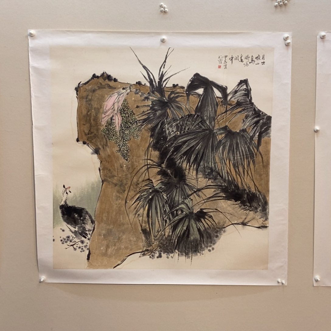 【闪购商品】国画清****开墨鱼精品墨鱼精品