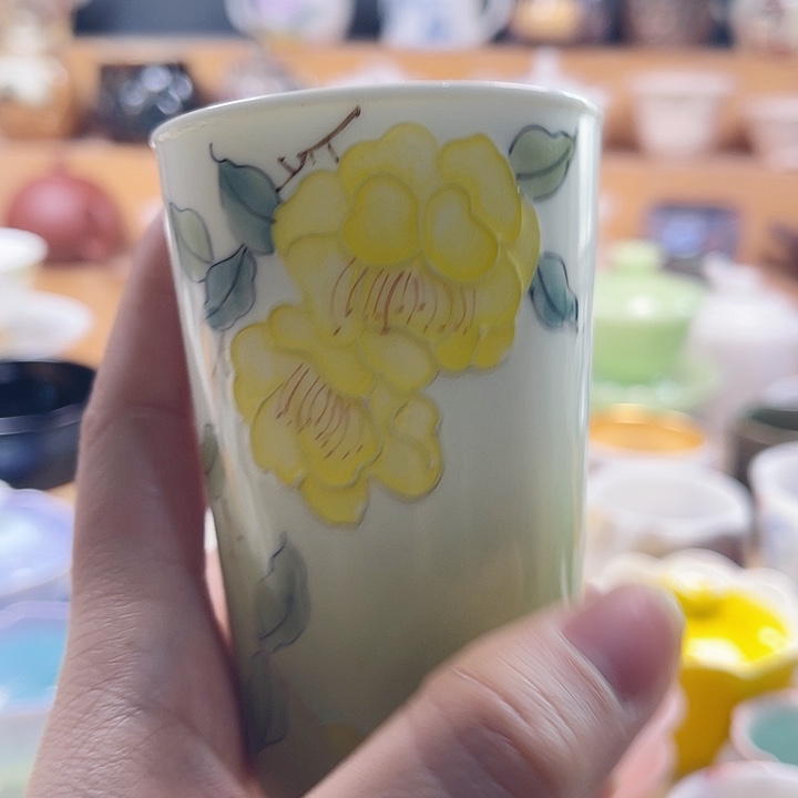 主人杯主人不在如何通话中体会