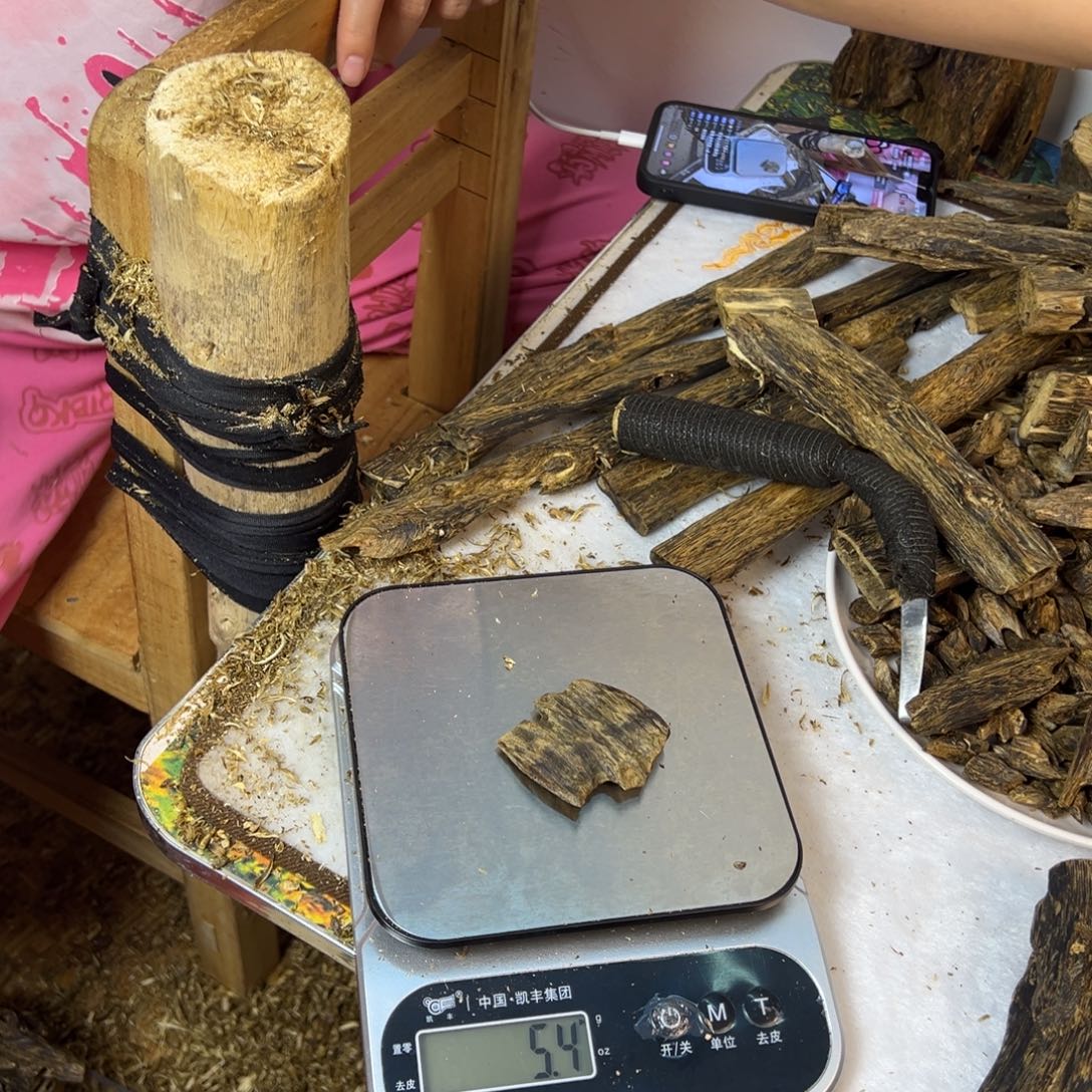 线香奇楠虫漏香6克