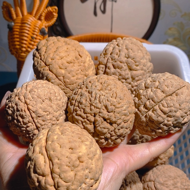 野生三瓣脑纹大金刚6颗