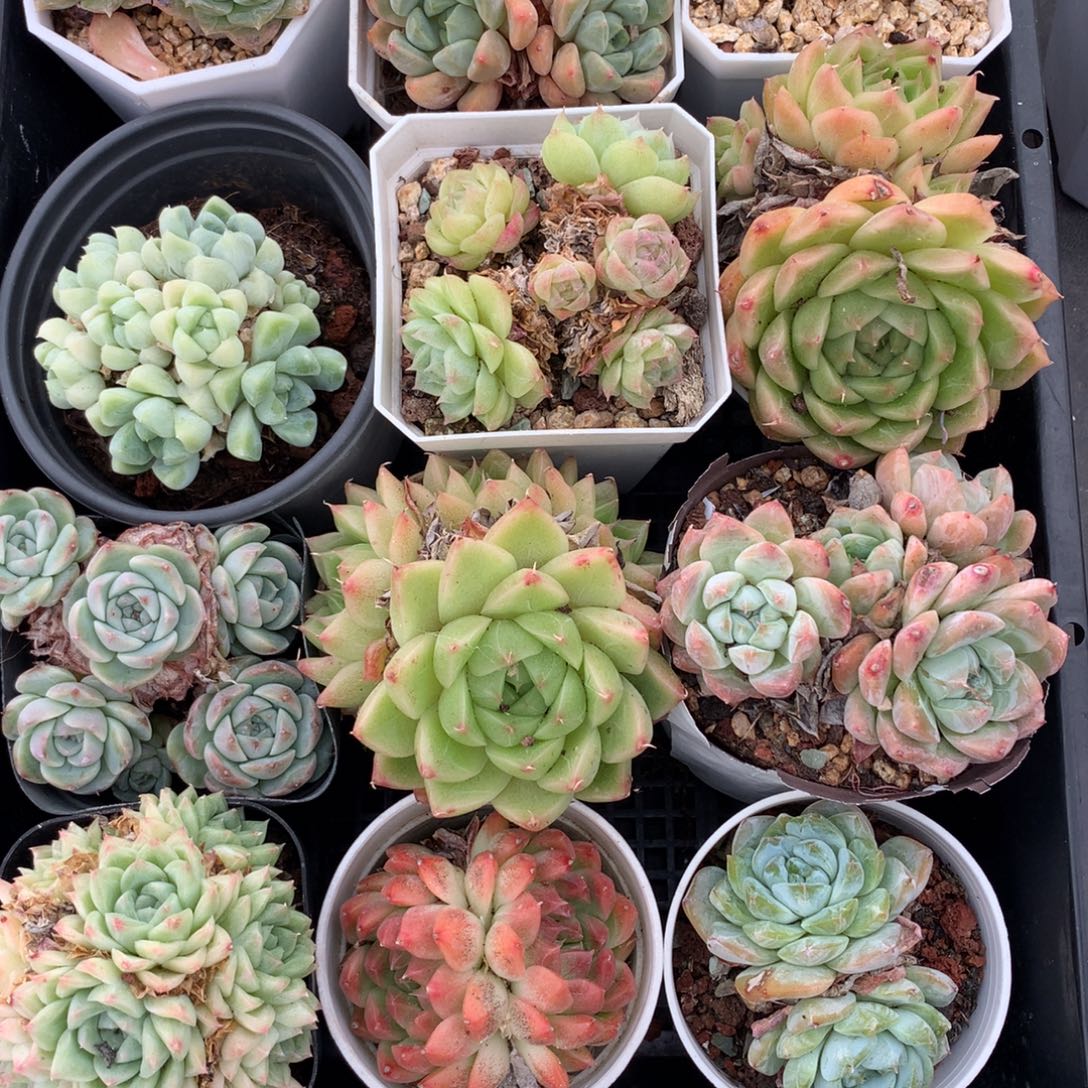 1001-46 套餐一组
