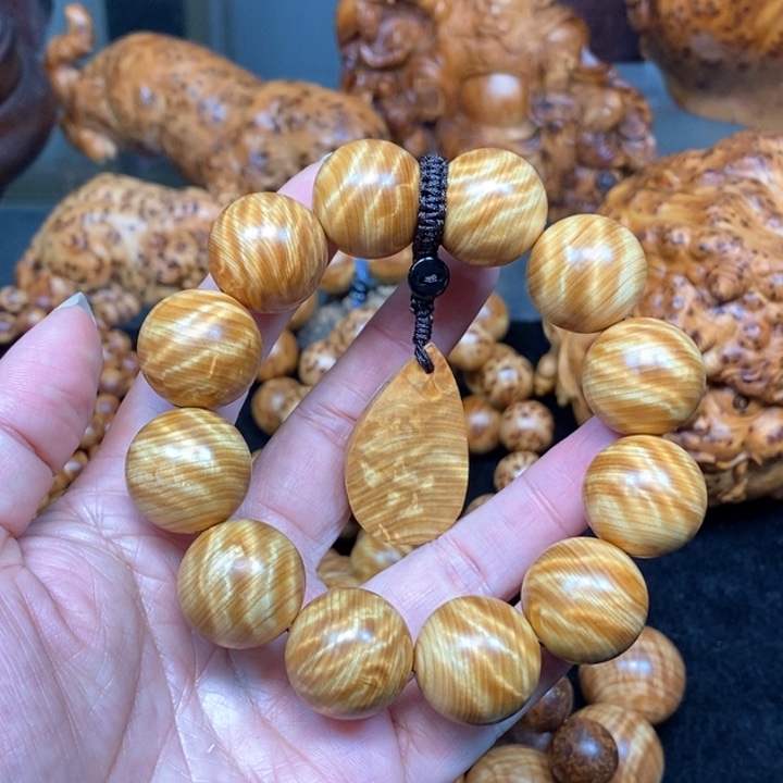 柏木（崖柏）菡*博太行崖柏2.0