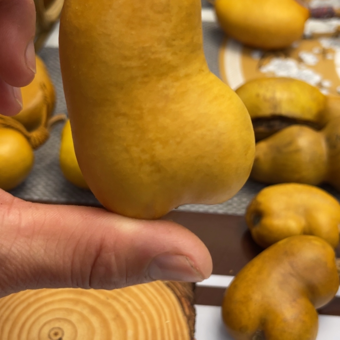 邹***吉葫芦哈哈哈哈哈哈哈哈哈哈