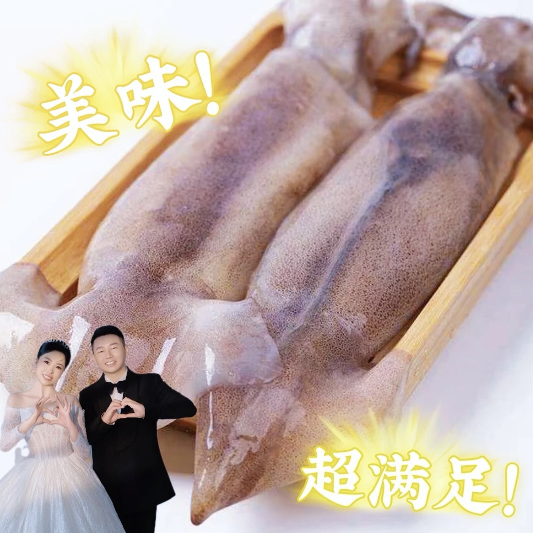 【大连本地新鲜鱿鱼】干冰速冻保鲜发货 顺丰包邮 冻发