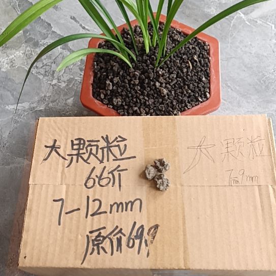 开***心兰菌黑山土大颗粒6.6斤