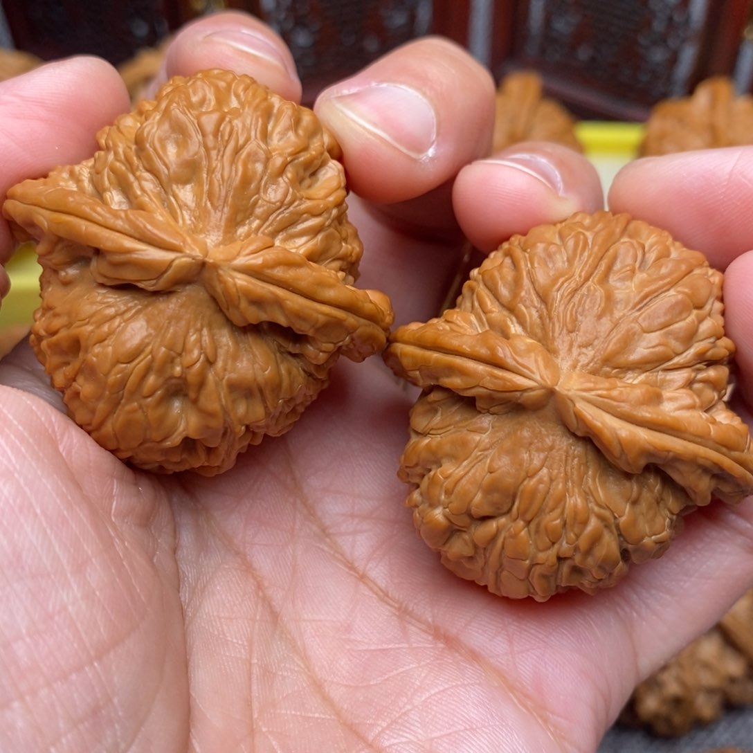 文玩核桃把件全品毕业粗棱大肚白狮子42尺