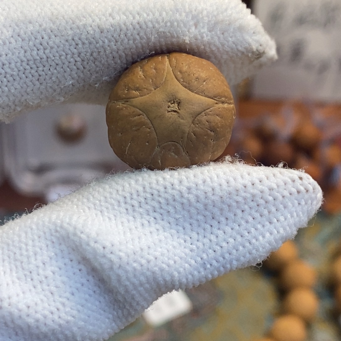 吊坠凤眼菩提五星